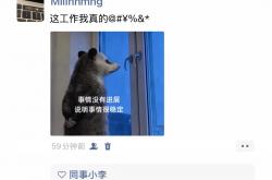 开云直营平台 -微信廻(huí)应朋友(yǒu)圈互(hù)动规则：單(dān)删原封不动，互(hù)删清空对方(fāng)全部痕迹